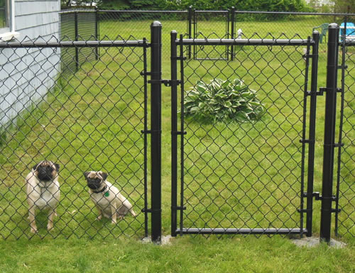 PVC Coated Chain Link Fence Used For Garden