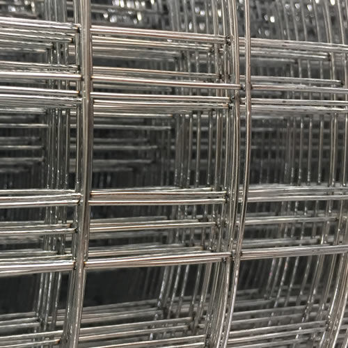 Galvanized Before Welded Wire Mesh