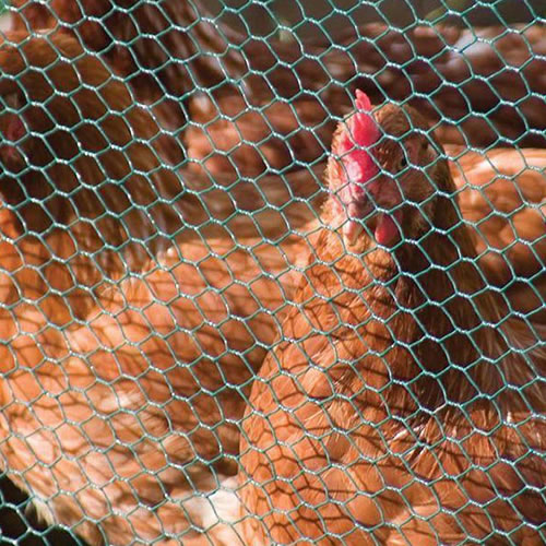 poultry netting