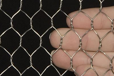 Galvanized Hexagonal Wire Netting